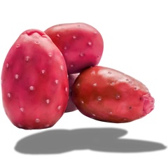 Prickly Pear Seed Oil
