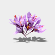 Saffron