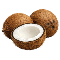 Coconut Oil