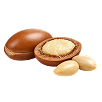 Argan Oil