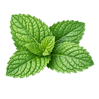 Peppermint Extract
