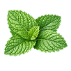 Peppermint Oil