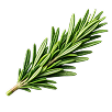 Rosemary Extract