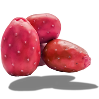 Prickly Pear Seed Oil