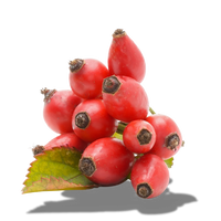 Rosehip Oil
